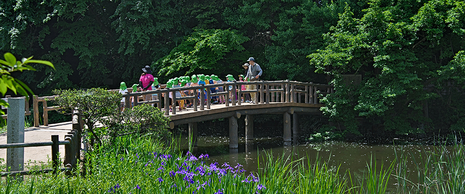 東京都公園協会ホームページより